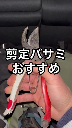 おすすめの剪定バサミとその使い方