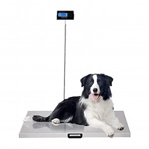 Veterinary Scale, 440L Postal Digital Shipping Livestock Scale, Stainless Steel Vet Scale Dog Scales Large Platform 41x20.8 Inch, Heavy Duty Vet Animal Scale for Animal Pet Cat Dog Cattle