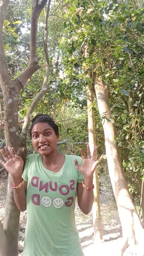 Tree Magic Gone Wrong 😂🌳😂😂😁😁😁😁