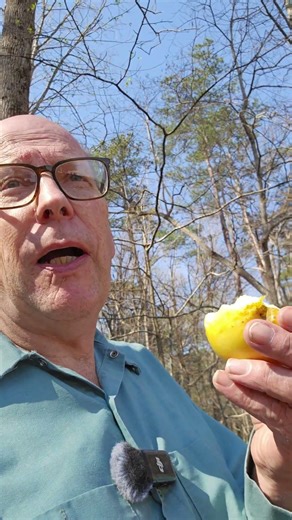 Is This #bigfoot evidence