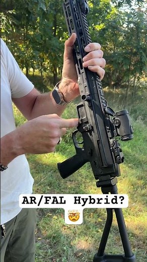 AR15 - FAL Hybrid Rifle? Huh?