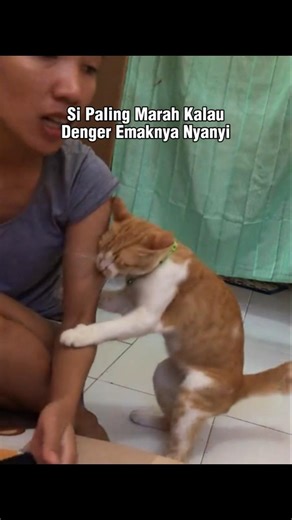 The Angriest When Hears His Mother Sing #shorts #cat #catlovers #animals #funny #pets