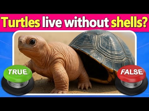 TRUE or FALSE? 🤯 Only 1% Know All the Answers! Can You Beat This Viral Trivia Quiz! | Quiz DingDong