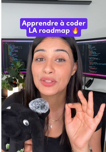 Maîtriser la programmation étape par étape