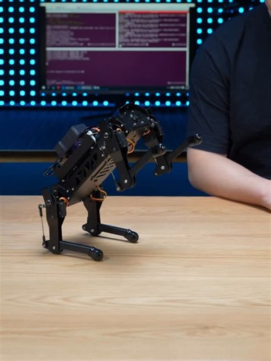 Hiwonder on Instagram: "With the power of ChatGPT, PuppyPi understands your voice and responds with surprising intelligence. Ready for a real conversation? www.hiwonder.com/products/puppypi #CharGPT #largeAImodel #Speechinteraction #SmartHome #AI #ConversationAI #robotdog #Lidar #depthcamera #quadruped #Python #STEM #Education #bostondynamics #robot #opensource #ROS #rpi #raspberrypi #puppydog #robotics #quadrupedrobot #dog #ros #IMU #gyro #sensor #STEMtoys"