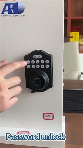 AED01-Smart DeadBolt Lock