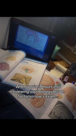 Effective Cramming Strategies for Exams