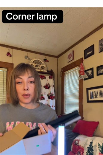 LED color changing corner lamp. #lights #booktok #newyearnewme #holidayhaul