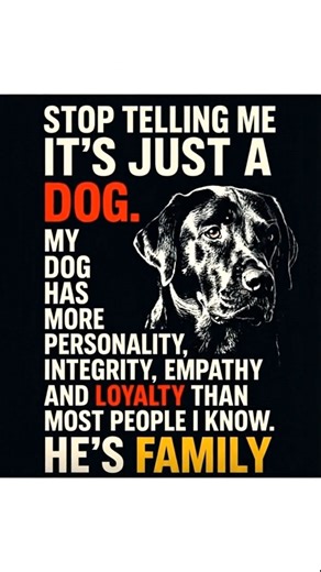 How often have dog lovers heard it? “It’s just a dog.” But anyone who has shared their life with one knows that couldn’t be further from the truth. Dogs aren’t “just” anything—they’re everything. 🐾❤️ They bring integrity to our lives by being loyal when others walk away. They bring joy when the world feels heavy. They remind us of what truly matters: love, connection, and presence. 🌍 Every wag, every cuddle, every protective glance—they’re proof that dogs carry more soul than many people reali