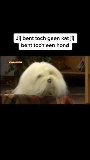 Samson en Gert: Comedy Blooper Highlights