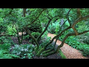 Magical Woodland Gardens
