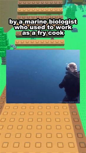 A Marine Biologist Made the Biggest Cartoon Ever 🤔 #roblox #robloxrant #relatable #rblx #funny