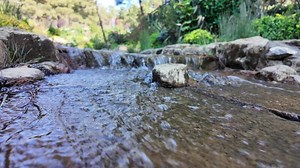 Quiet stream flows through a peaceful garden setting