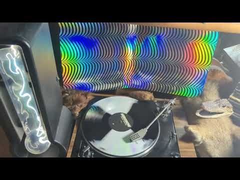 Merzbow - Pulse Demon remastered , Full Vinyl rip