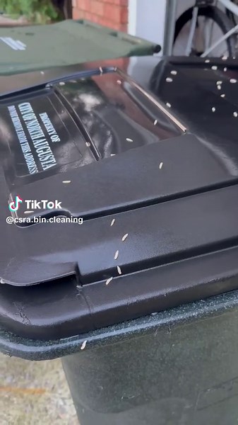 Custom stated “there’s maggots on my trash can” upon inspection, she was right… so we got to work. #binfluencer #trashcancleaning #bincleaning #garbagecancleaning #CleanTok #dirtyjobs #northaugustasc #aikensc #fyp #tuesday #maggot
