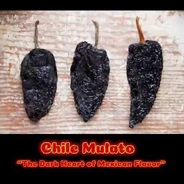 Get to Know dry Mexican Chiles: “Chile Mulato” #short #MexicanChiles #TraditionalMexicanFood #viral