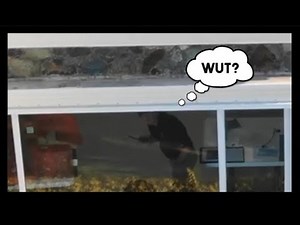 Drone Spies On Epstein Island DURING FBI Raid