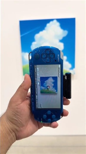 PSP 450x Camera at a Takashi Murakami Exhibit (2026)