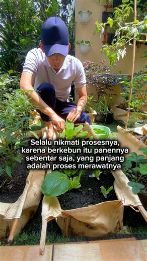 Nikmati Proses Berkebun Di Rumah #berkebun