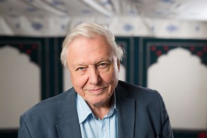 Sir David Attenborough warns Zoological Society of London faces ‘extinction’