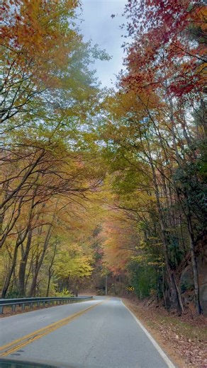53 reactions | Brasstown Bald, GA #BrasstownBald #BrasstownBaldFall...