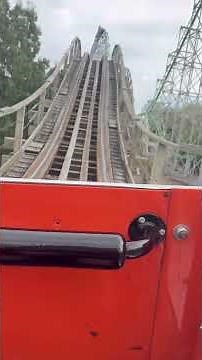 Timber wolf WOF (worlds of fun)