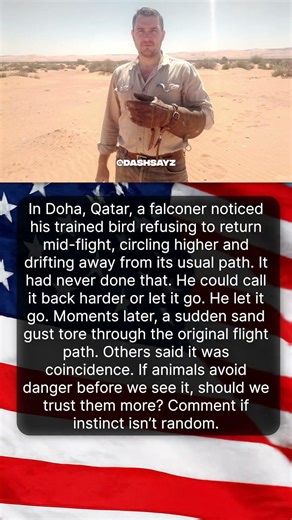 THE FALCONER WHO LET THE BIRD GO 🦅⚡