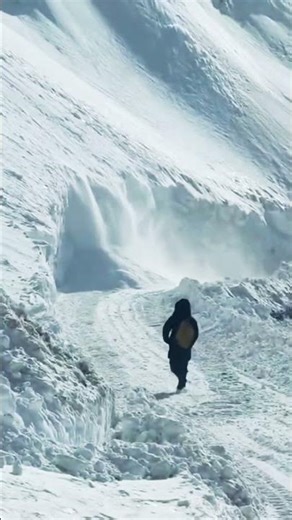 Humko Humise Chura Lo ❤️❄️ | Love in Snow at Zojila Pass