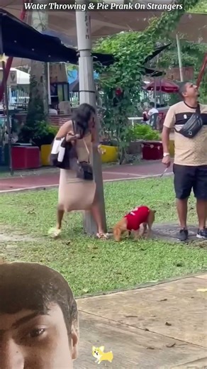 “Dog Pee Prank Gone Wrong! 😂”