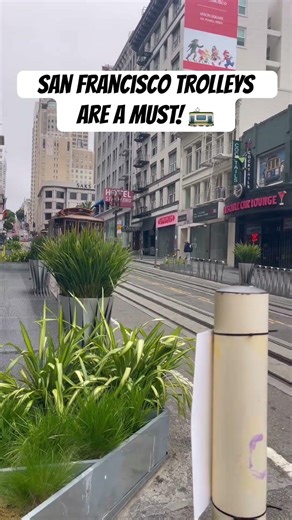 San Francisco Trolleys Are a MUST! 🚋 #fypシ゚viral #fypシ