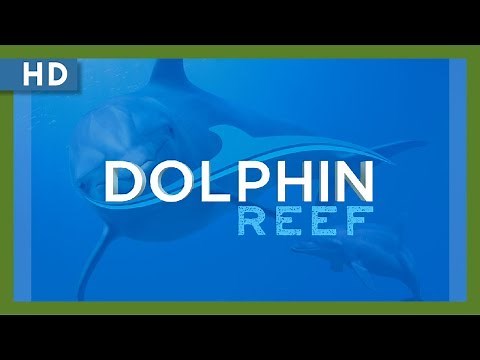 Dolphin Reef (2019) Trailer
