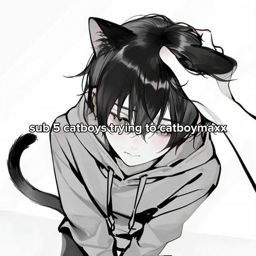 Catboy & Femboy Supremacy