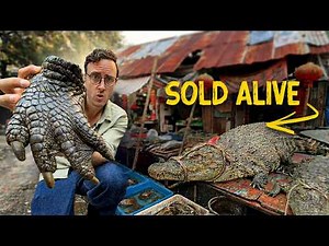 Inside China’s Scariest Meat Market (and Why It Still Exists)