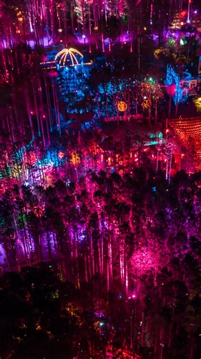 The path back to The Forest has begun to clear. Electric Forest 2026 Loyalty Lookup and Recognition are now open. Plan ahead by reviewing your permanent Loyalty ID and 2026 Loyalty Status and Tier by using the Loyalty Lookup Tool. Not seeing your Loyalty ID, expected Loyalty Status or other details? Apply for Loyalty Recognition by Friday, November 21. Visit the Loyalty Program page of our website for more details. electricforest.com/loyalty-program/ | Electric Forest