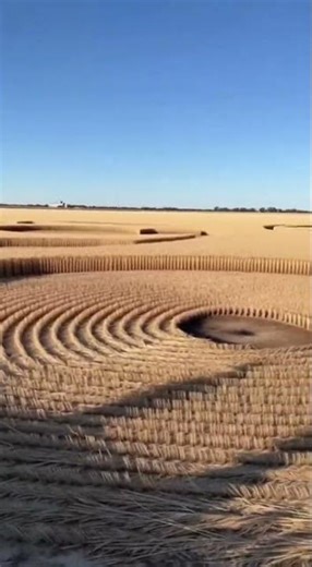 THE FIELD SIGNS – Strange Patterns Discovered Raw Citizen Footage