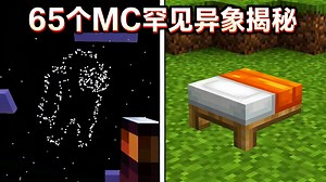 【中配】65个《我的世界》中的罕见异象 - Prism