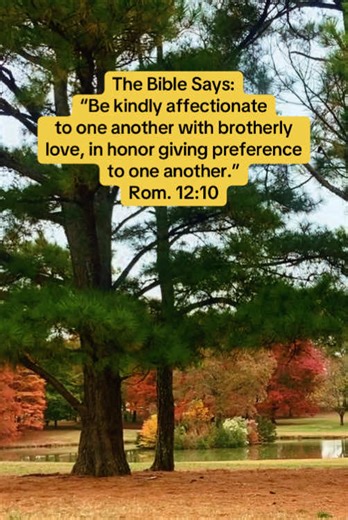 Romans 12:10 means Christians should love each other with a deep, familial affection and actively demonstrate respect by prioritizing others' needs and honor above their own. It encourages a spirit of humility and selfless devotion within the Christian community, fostering mutual respect and unity. The Bible Says: “Be kindly affectionate to one another with brotherly love, in honor giving preference to one another.” ‭‭Rom.‬ ‭12‬:‭10‬ #Bible #Bibleverse #Bibletok #fyp #fypシ