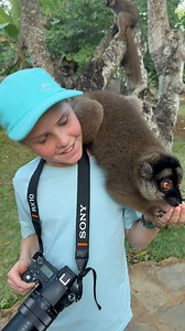 62K views · 2.8K reactions | Look at this amazing lemur, he is using his feeding tongue to lap up all the banana pieces on my hand - isn't he cool!  | Brooke.Carter | Facebook