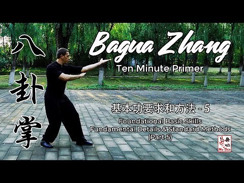 Bagua Stepping - Bagua Zhang Ten Minute Primer - Foundational Basic Skills (Part 5)