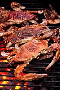 Grilled Soft Shell Crab