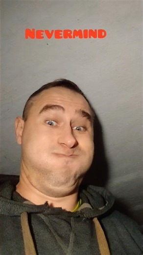 Cats Poked a Massive Wasp Nest and Instantly Regretted It