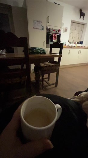 Morning rituals! Hugs on the sofa, coffee and Queen Mabel the cat 🐈 👑 we are all a bit mad in this house! #labradorsoftiktok #catsoftiktok #queenmabel