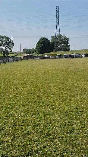 Odin sure loves his lure coursing!!!! | The Crunchy Canine - Dog Training