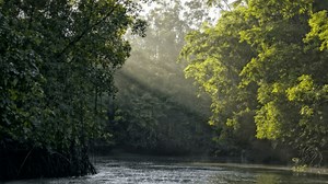Ratanabá: por qué la leyenda de la ciudad perdida en el Amazonas "no tiene sentido", según un arqueólogo - Guatevision