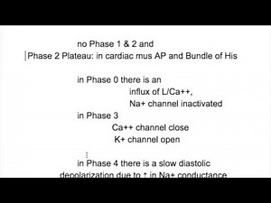 Atrioventricular node, action potential, conducting sys