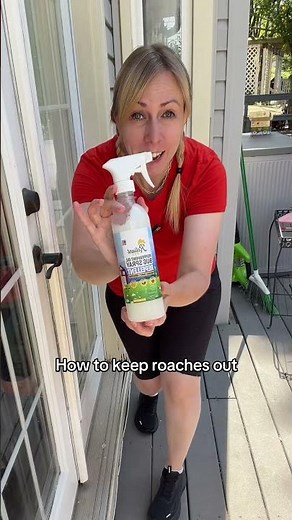 How to keep roaches out of your house: use a peppermint oil spray like this bug repellent spray by