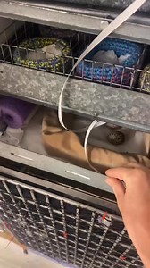 4.6K views · 215 reactions | This year in our Wildlife Hospital, our...