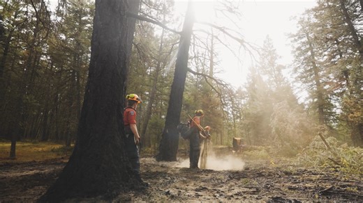 With over 85 per cent of the wildfires in British Columbia now classified as Being Held or Under Control, many of our crews are in the mop up and patrol stages of wildfire response. Mop up and patrol entails crews methodically inspecting the burned area to identify and extinguish any remaining hot spots. Crews then demobilize equipment that was left on the wildfire and ensure the area is prepared for rehabilitation. Coral Tallen, an Initial Attack Crew Leader with the Cariboo Fire Centre, explai