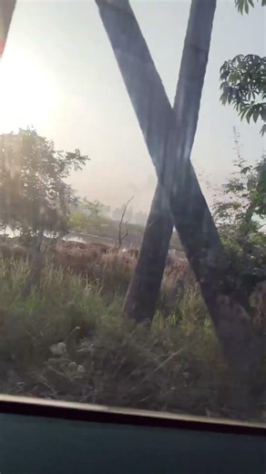 #deepthi #makeupartist #saree #bheemavaram #trending