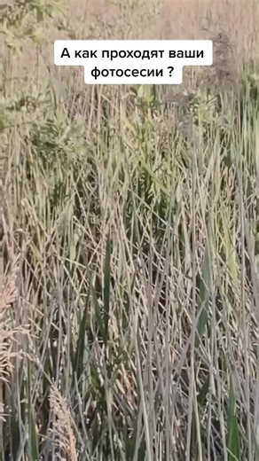 Tati_beauty on TikTok